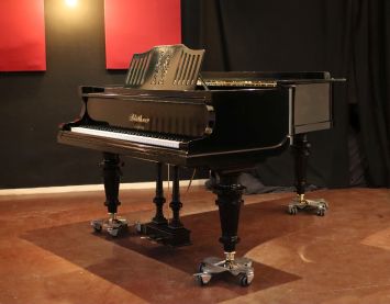 Blüthner Flügel Blüthner Flügel