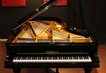 Blüthner Flügel Blüthner Flügel