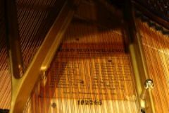 Blüthner Flügel Blüthner Flügel