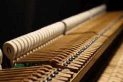 Blüthner Flügel Blüthner Flügel